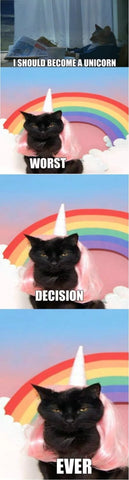 black cat unicorn meme