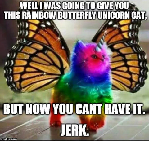 rainbow butterfly unicorn kitty meme