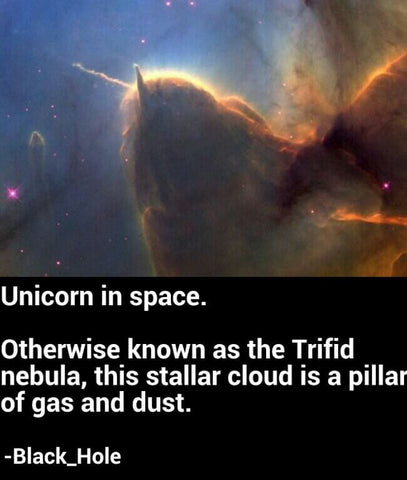 unicorn in space meme