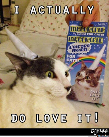 unicorn cat meme