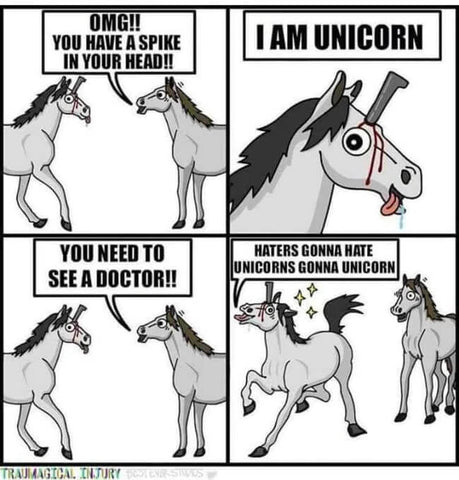 unicorn spike meme