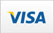 Visa Credit card icon