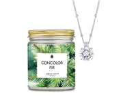 Concolor Fir Jewelry Aroma Beads