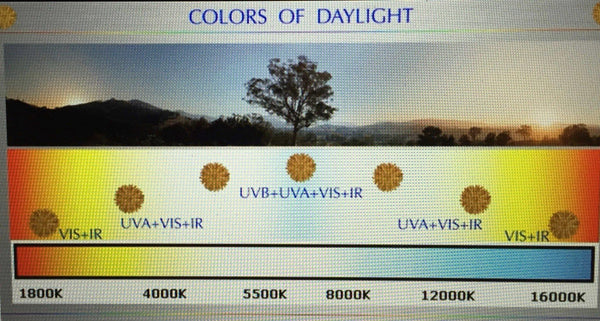 Colours of Daylight