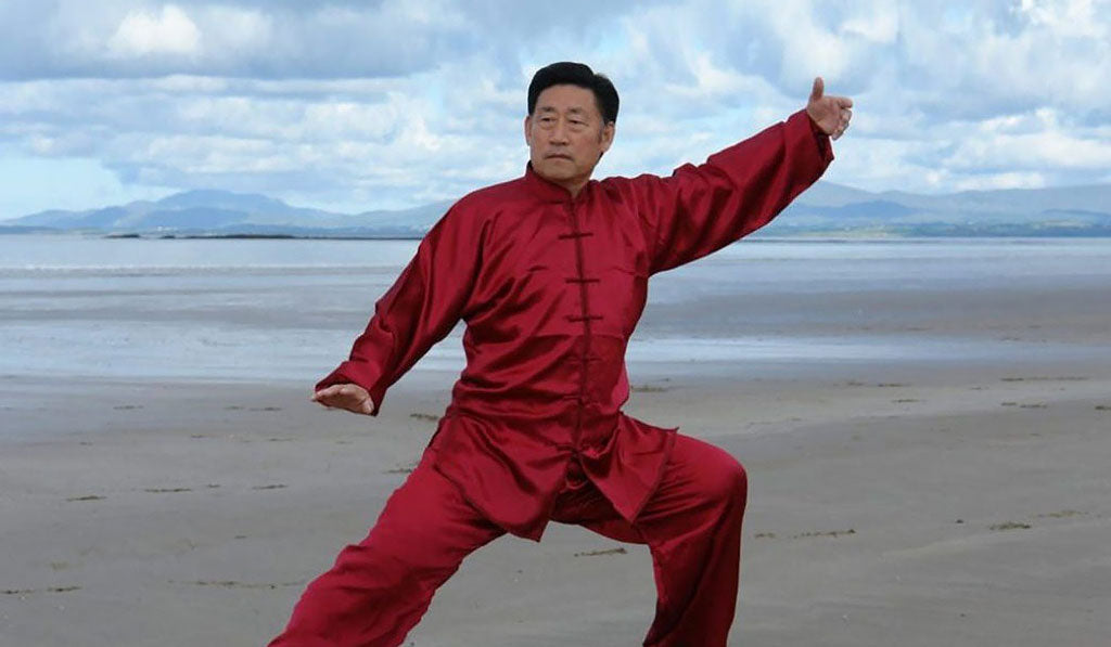 kung fu master