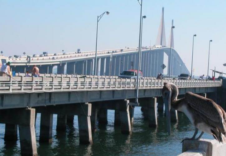 Skyway Pier Grouper Secrets