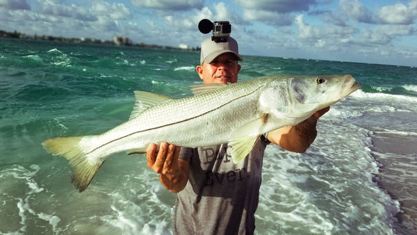 Big snook from the surf
