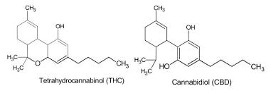 THC and CBD