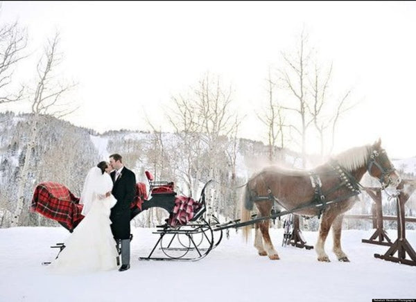 Bride and groom on sleigh