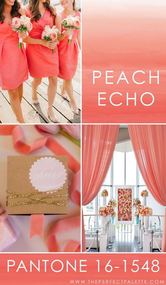 Peach Echo wedding palette