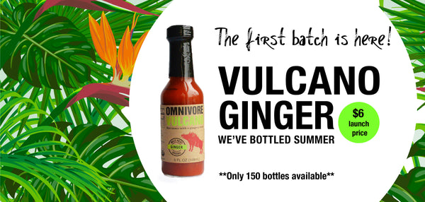 omnivore vulcano ginger is sugar free, organic, vegan and calorie free