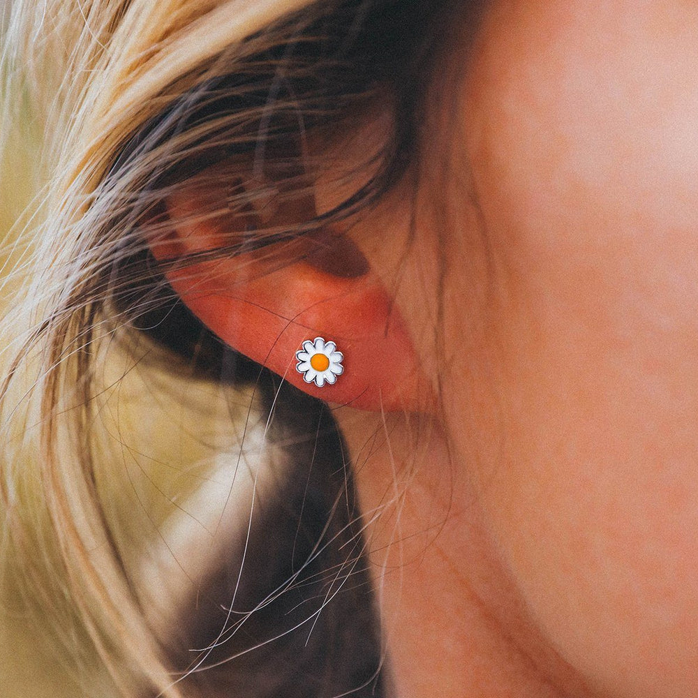 Daisy Studs 2