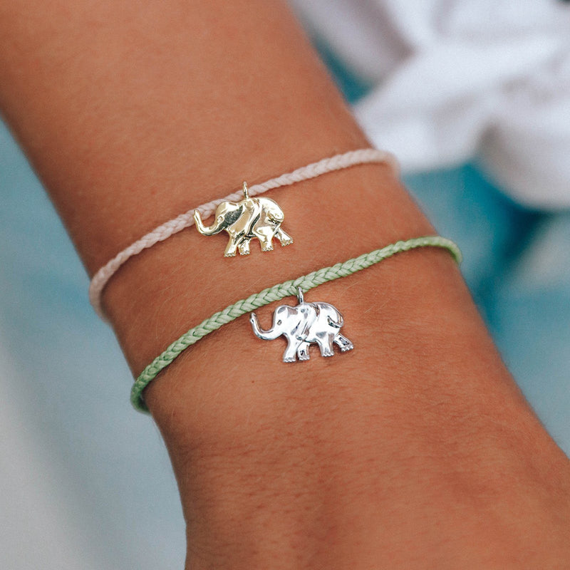 Save the Elephants Charm 5