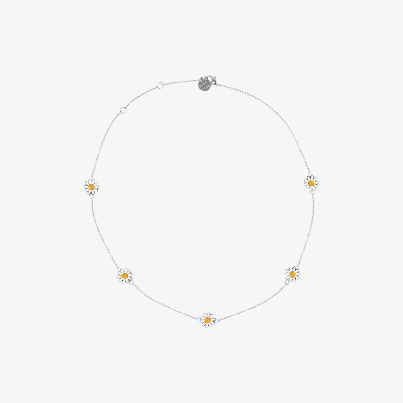 Daisy Choker 2