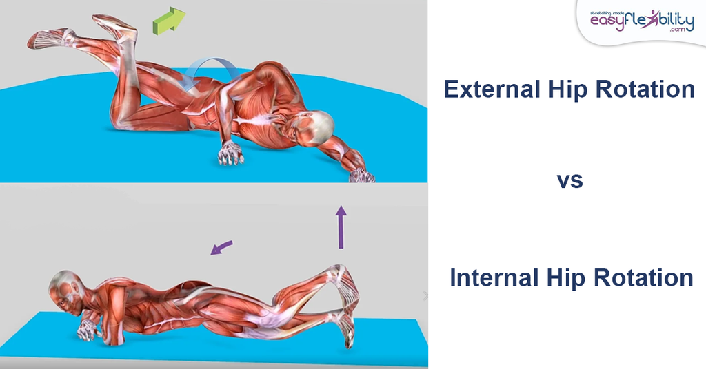 internal rotation knee