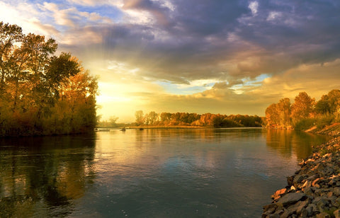 autumn along a river