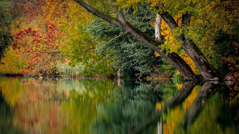 autumn by lake