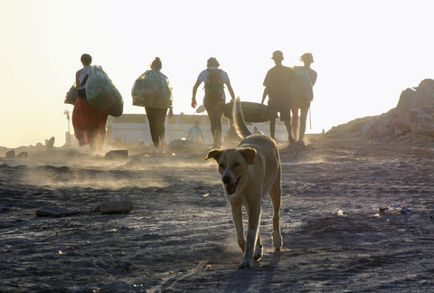 Beach Clean-up