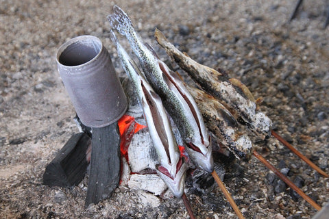 Fish cooking on campfire