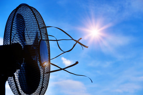 fan in sunshine