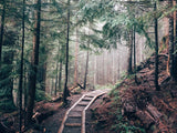 Log-step path