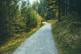 Gravel path