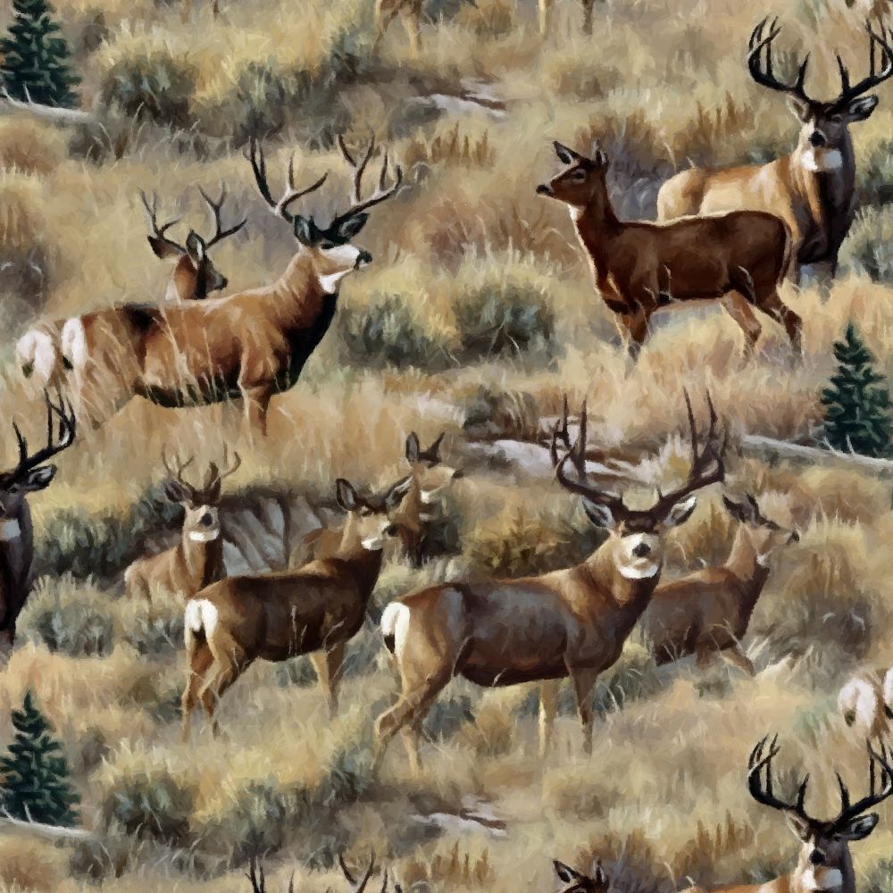 mule deer wallpaper