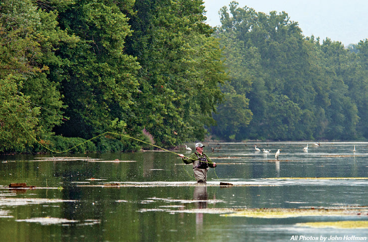 eastern-fly-fishing.myshopify.com