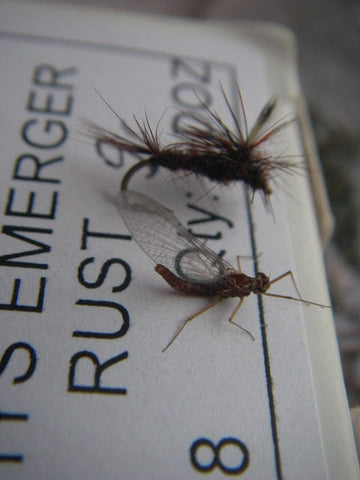 Know your insect shapes and sizes when fly fishing