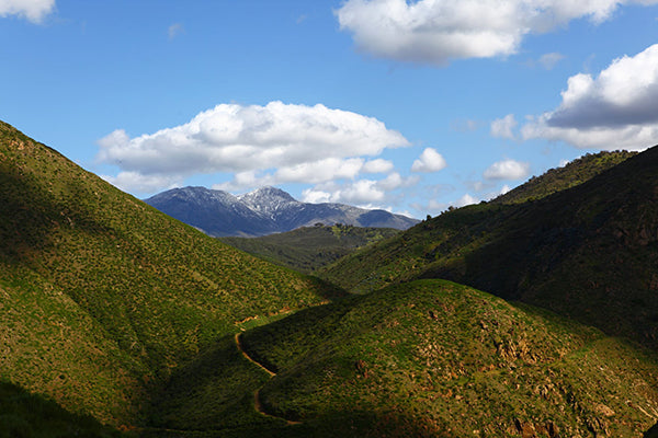 Rolling green hills with trails on the side and blue sky.