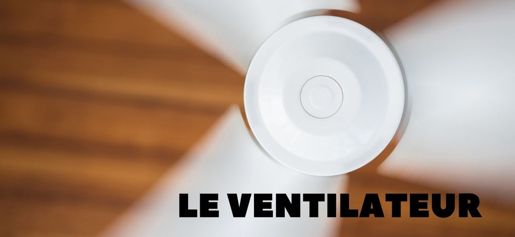 Ventilateur pour sécher un tapis