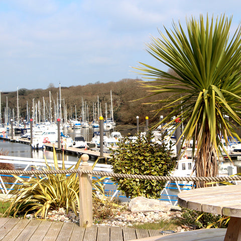 Neyland Marina - Brunel Cafe