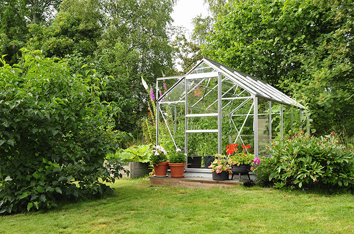 Greenhouse Irrigation