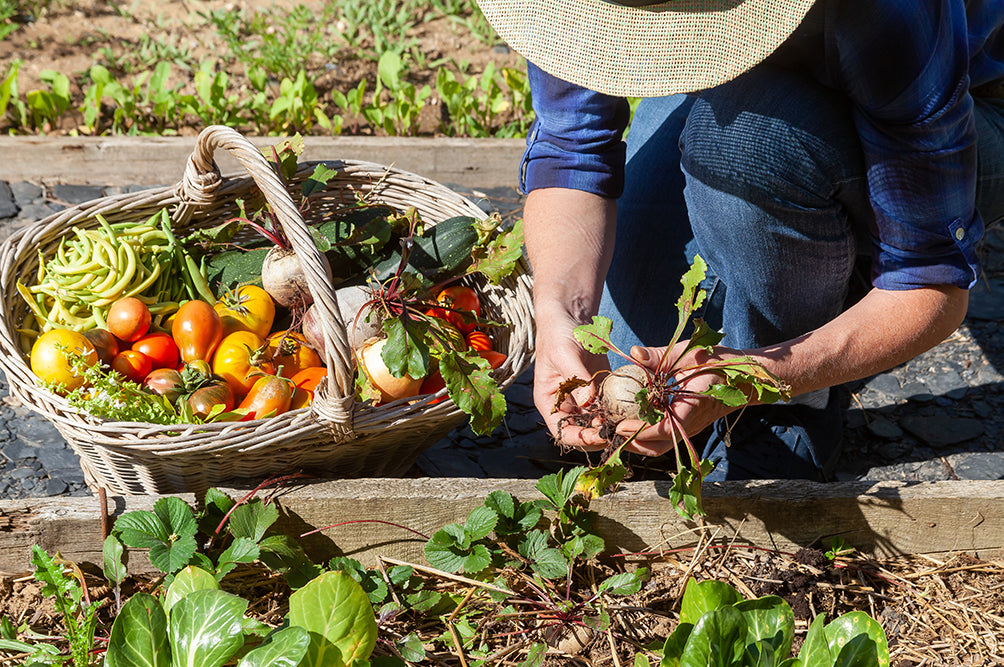 Grow Your Own Healthy Food