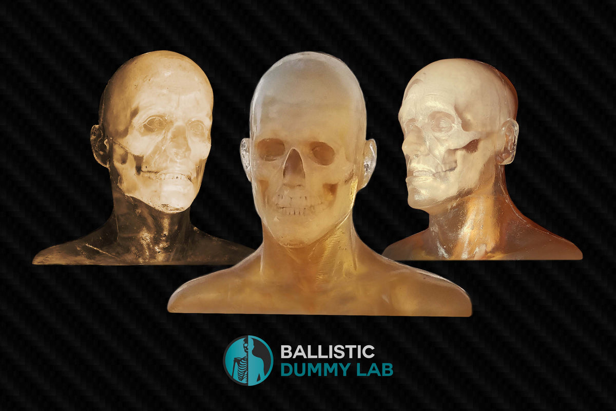 Ballistic Gel Bust – Ballistic Dummy Lab