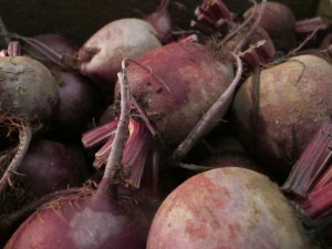 Beets Galore