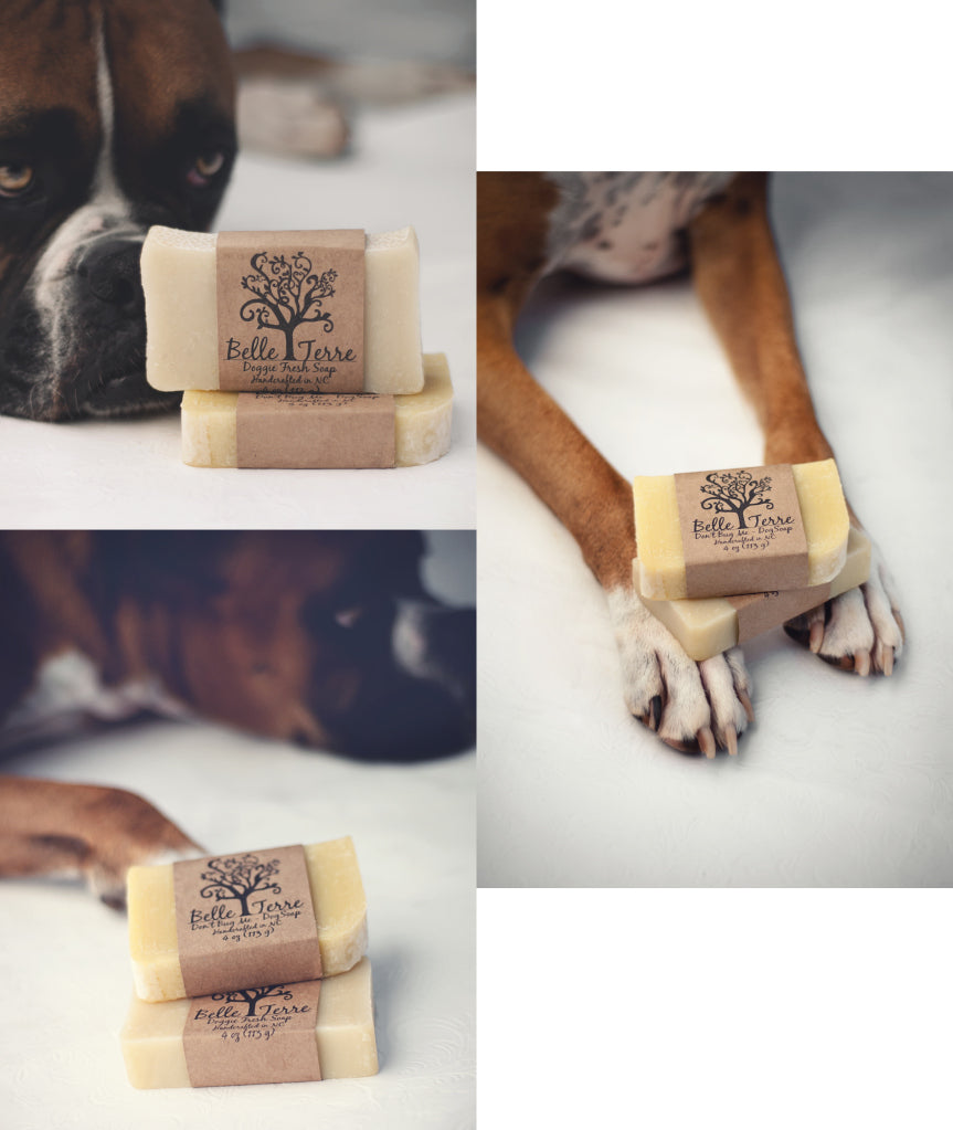 Belle Terre Dog Soap