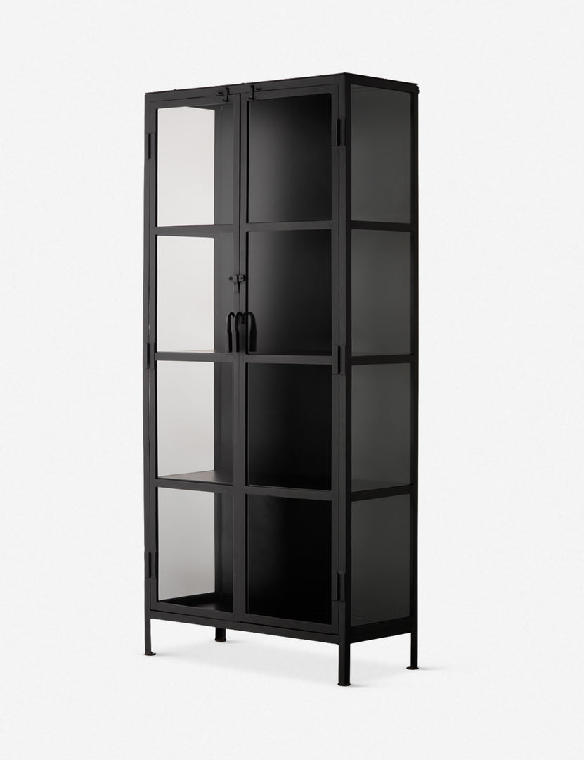 Sam Curio Cabinet