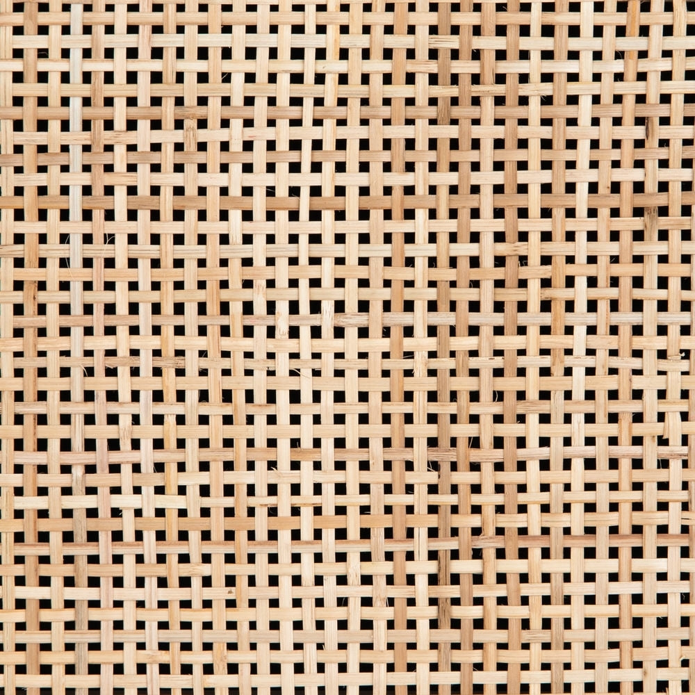 Detailed view of the woven cane doors on the Hannah black mango wood media console.