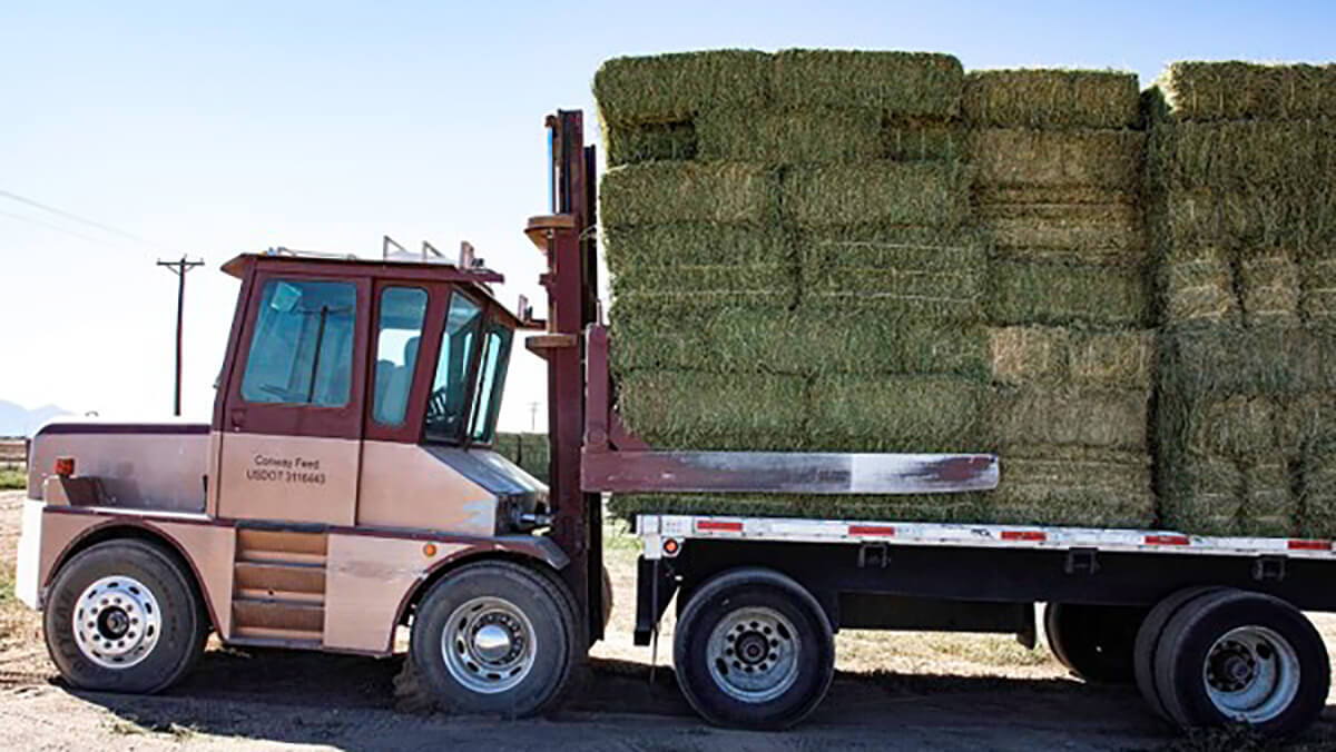 There are various factors that impact the weight of a bale