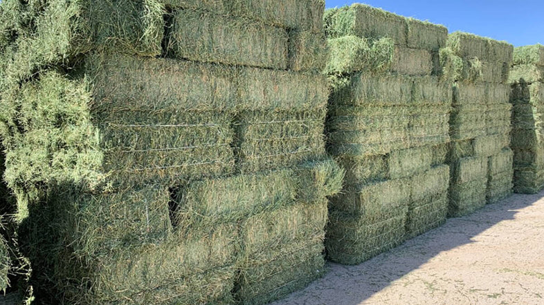 What makes Arizona alfalfa hay best for delivery?