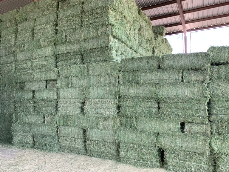 How long can hay last when you store it correctly?