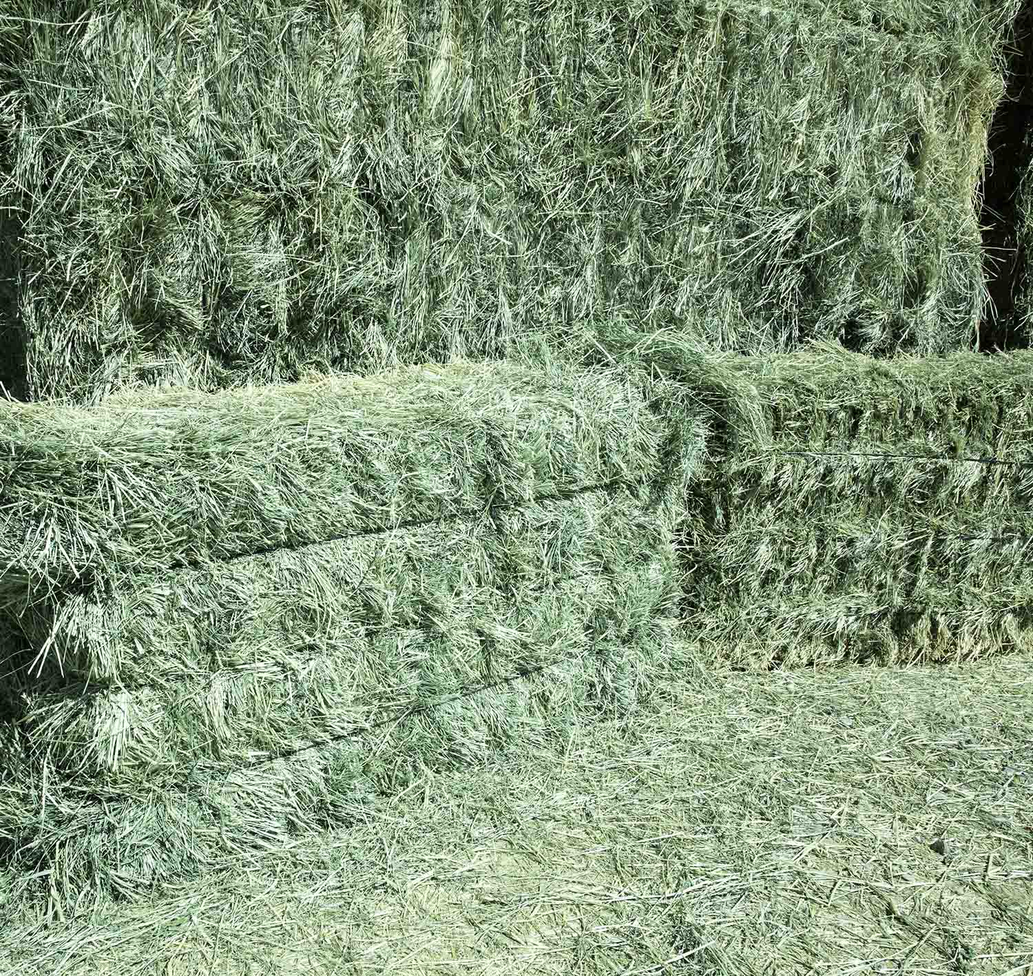What is the difference between round and square bales?