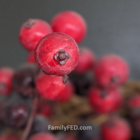 Berries on a wreath form a hidden Mickey in nature in this guide to hidden Mickeys