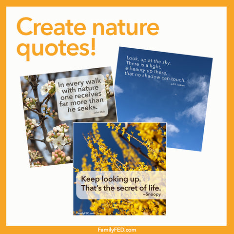 Create nature memes for a simple service activity