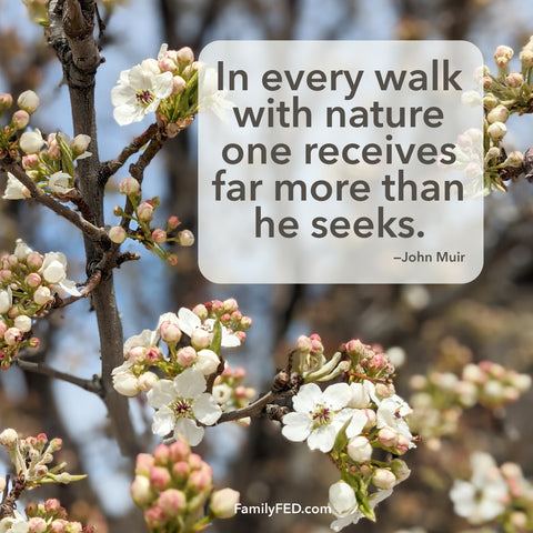 In every walk with nature one receives far more than he seeks. —John Muir