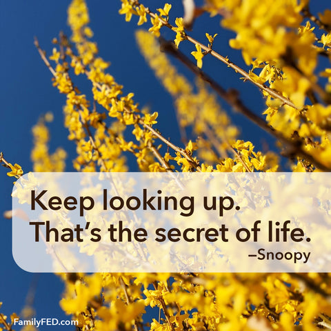 Keep looking up. That’s the secret of life. —Snoopy