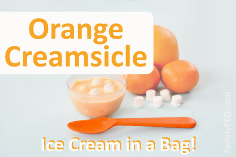 Orange-Creamsicle Recipe for Ice Cream in a Bag