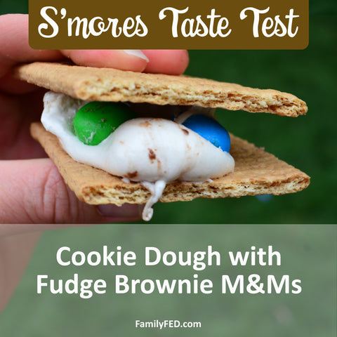 Fudge Brownie M&Ms S’mores—Ultimate S'mores Taste Test by Family FED