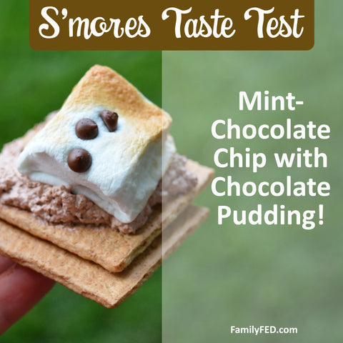 Chocolate Pudding S’mores with Mint-Chocolate Chip Marshmallows—Best S'mores Recipes and Combinations